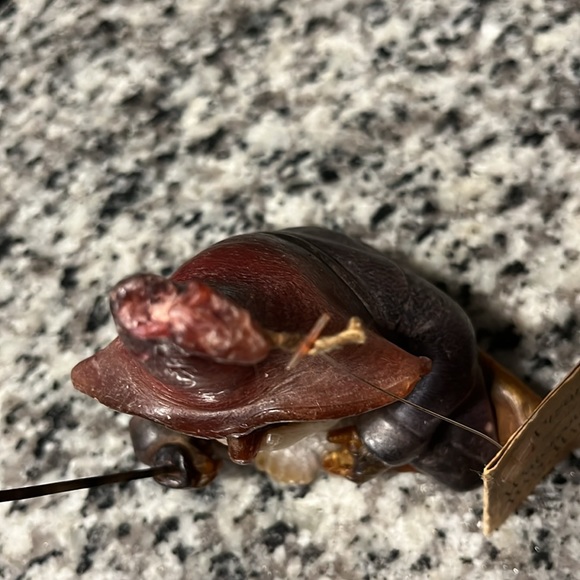 🧙🏽♂️ WIZARD CANDLE🕯️ 1978 VINTAGE WATERCOURSE WAX WORKS RENAISSANCE FESTIVAL - Picture 5 of 12